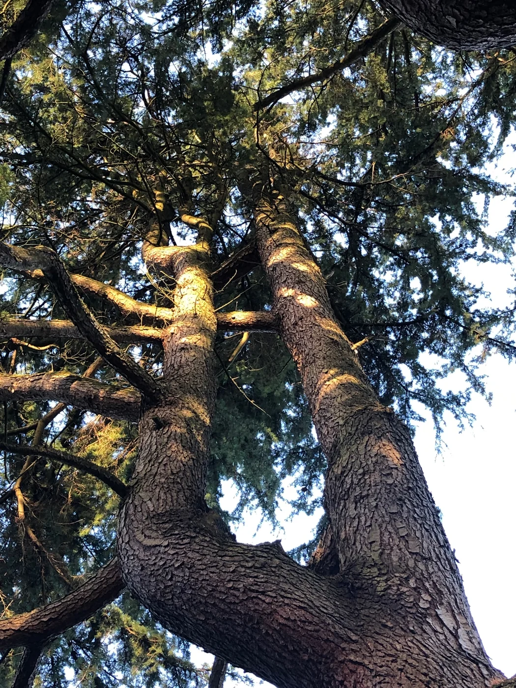 Seeking Union