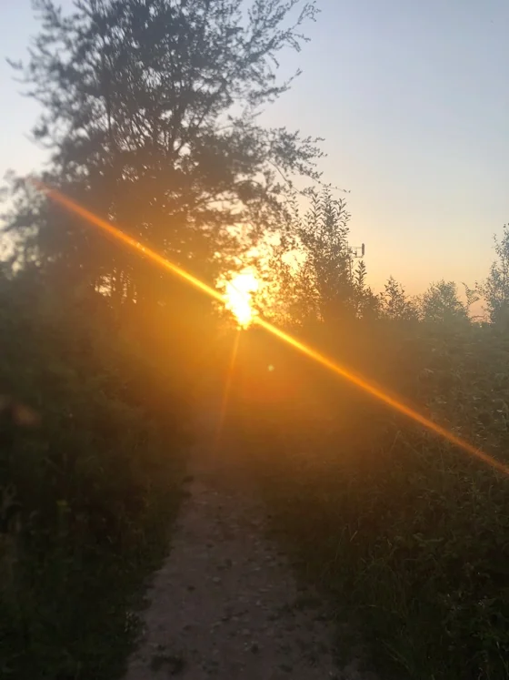 The Road Ahead